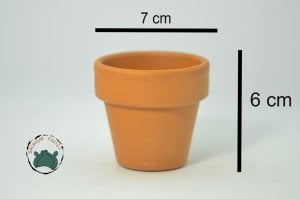 Doğal Terakota Toprak Kaktüs Sukulent Saksısı 7X6 cm - Sevillia Model