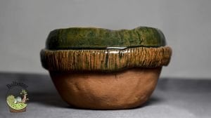 Ağaç Kabuğu Figürlü Rustik  El Yapımı Seramik Kaktüs Sukulent Saksısi HandMade