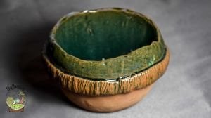 Ağaç Kabuğu Figürlü Rustik  El Yapımı Seramik Kaktüs Sukulent Saksısi HandMade