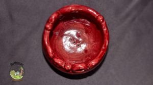 Rustik Kırmızı Renkli El Yapımı Seramik Kaktüs Sukulent Saksısi HandMade